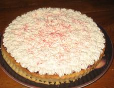 Peppermint Ganache Tart